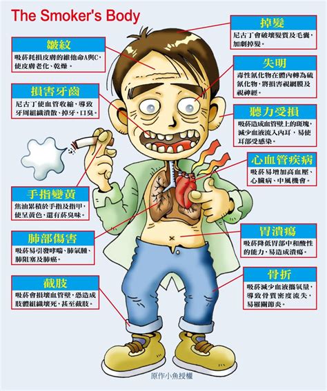 抽煙對身體的危害|香菸對身體各器官的重要影響